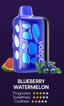 VOZOL RAVE 40000