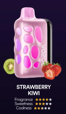 VOZOL RAVE 40000
