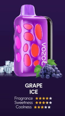 VOZOL RAVE 40000