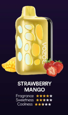 VOZOL RAVE 40000