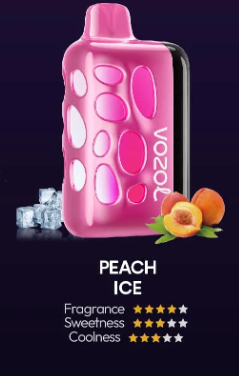VOZOL RAVE 40000