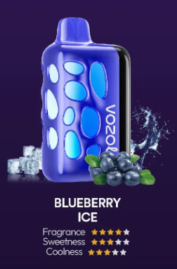 VOZOL RAVE 40000