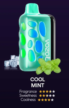 VOZOL RAVE 40000