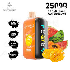 ELF BAR 25000 PUFF