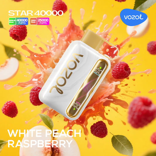 VOZOL Star 40000 Disposable Vape