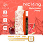 ELFBar NIC King 30000 Puffs Disposable